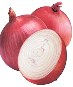 Onion Medicinal Plant